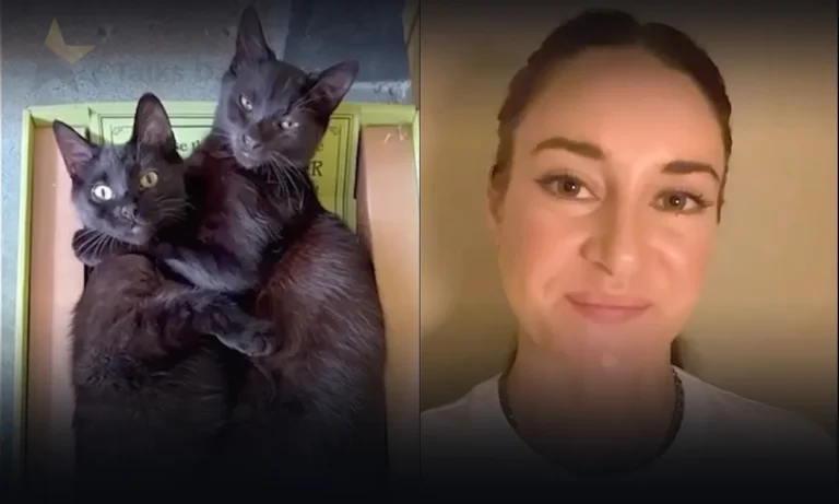 shailene-woodley-cats